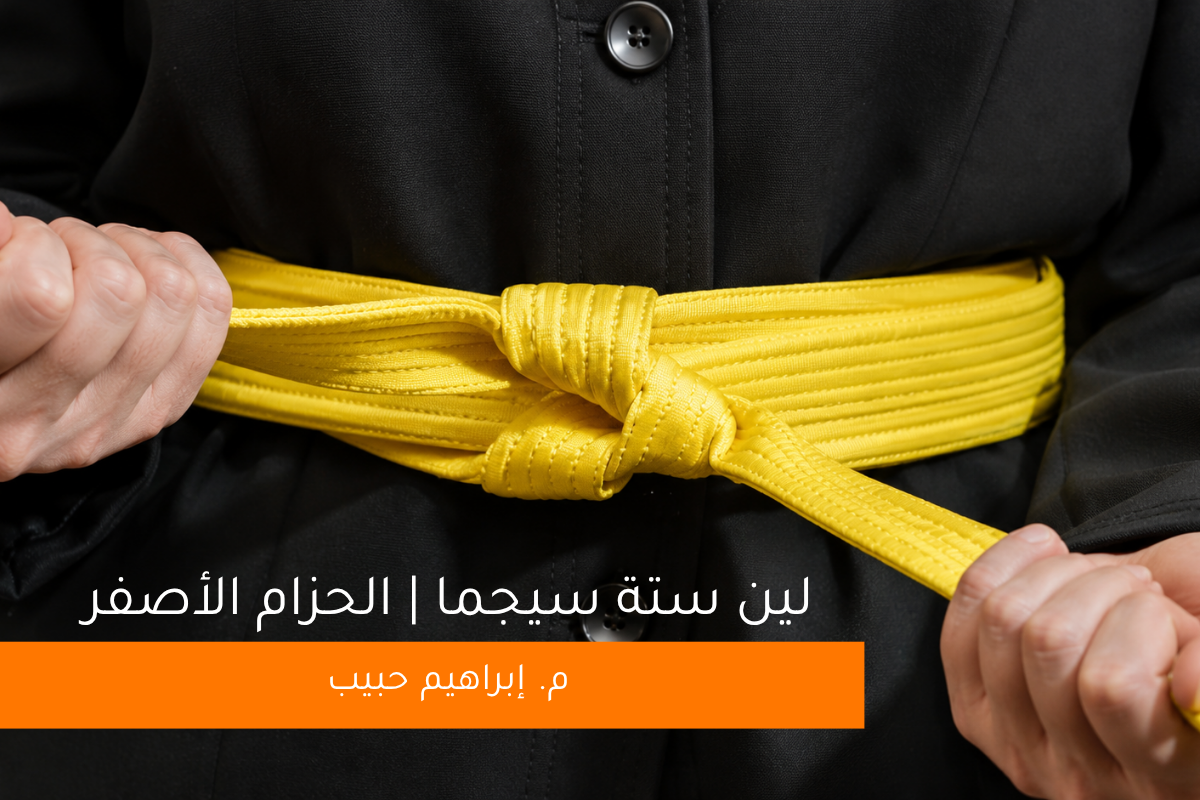 صورة برنامج لين ستة سيجما